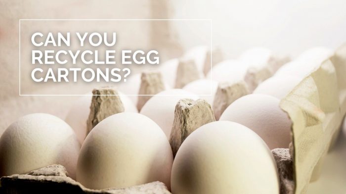 Can You Recycle Egg Cartons?