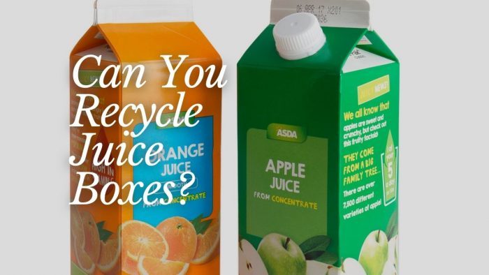 Can You Recycle Juice Boxes