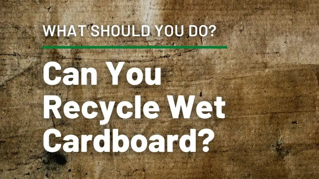 Can You Recycle Wet Cardboard