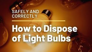 Can You Throw Away Light Bulbs 300x169 