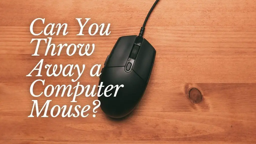 Can You Throw Away a Computer Mouse